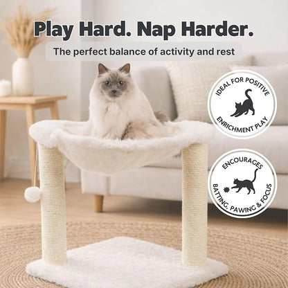 TRIXIE Baza XXL Cat Scratching Posts, Indoor Cat Furniture - Image 5