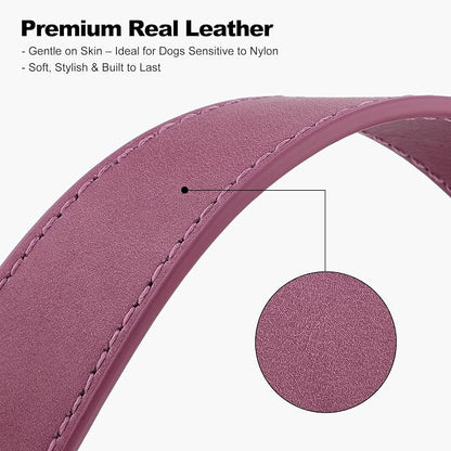 Plutus Pet Genuine Leather Dog Collar – Adjustable Pet Collar - Image 4