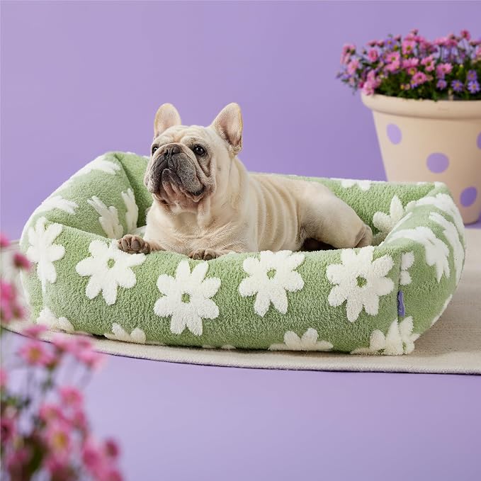 LE SURE Cute Dog Bed for Medium Dogs - Image 4