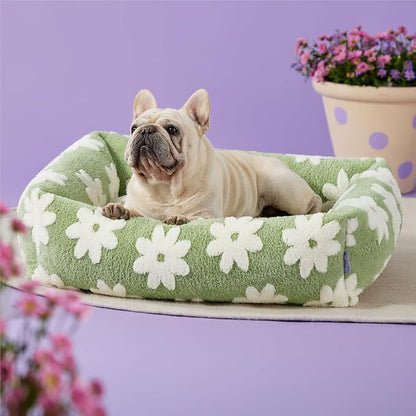 LE SURE Cute Dog Bed for Medium Dogs - Image 4