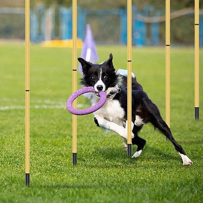 Dog Agility Training Hurdle Cone Set, Adjustable Dog Agility Equipment Obstacle - Image 3