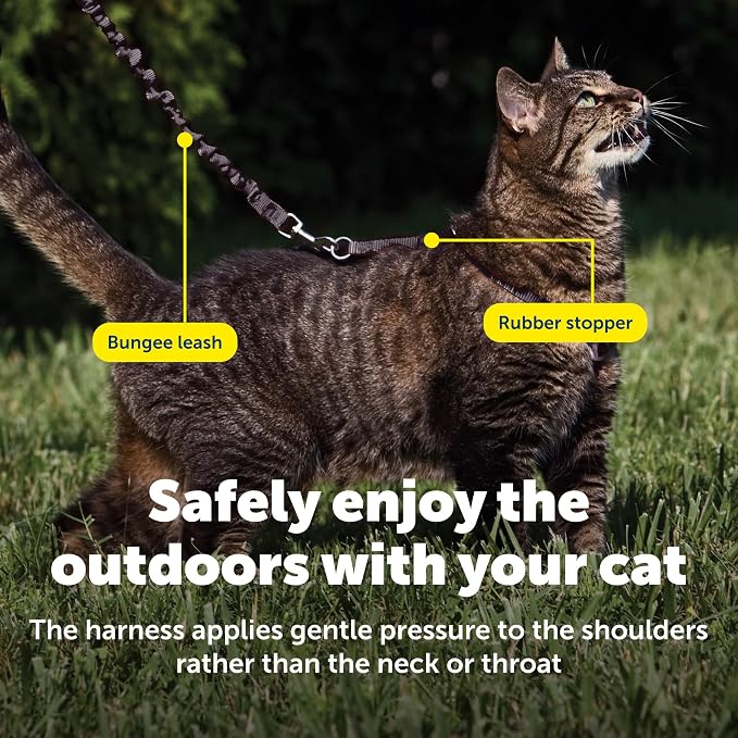 PetSafe Come With Me Kitty Cat Harness & Bungee Leash - Image 6