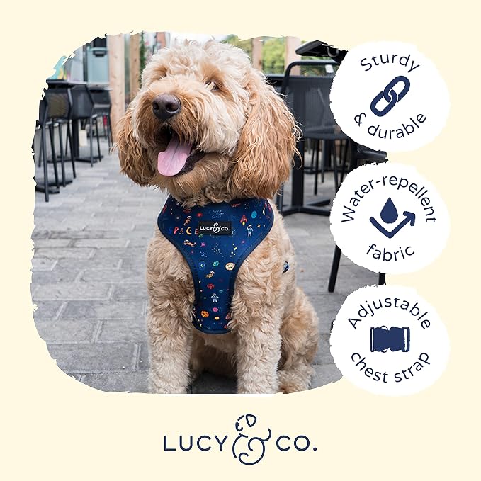 Lucy & Co. Space Doodle, Cute Reversible Dog Harness Walking Halter - Image 4