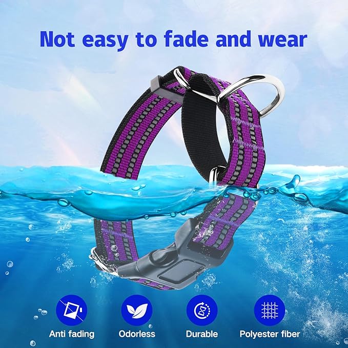 Martingale Dog Collar, Adjustable Nylon Reflective Collar - Image 6
