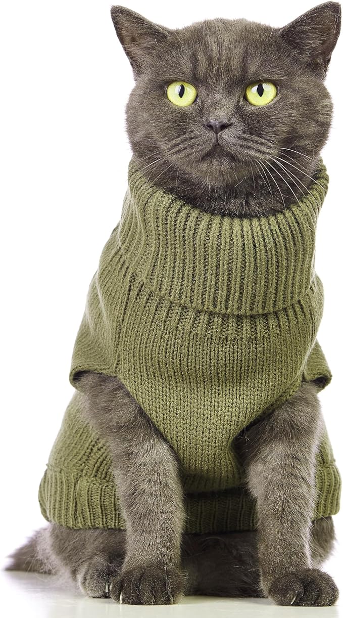 Stretchy Cat Sweater - Image 3