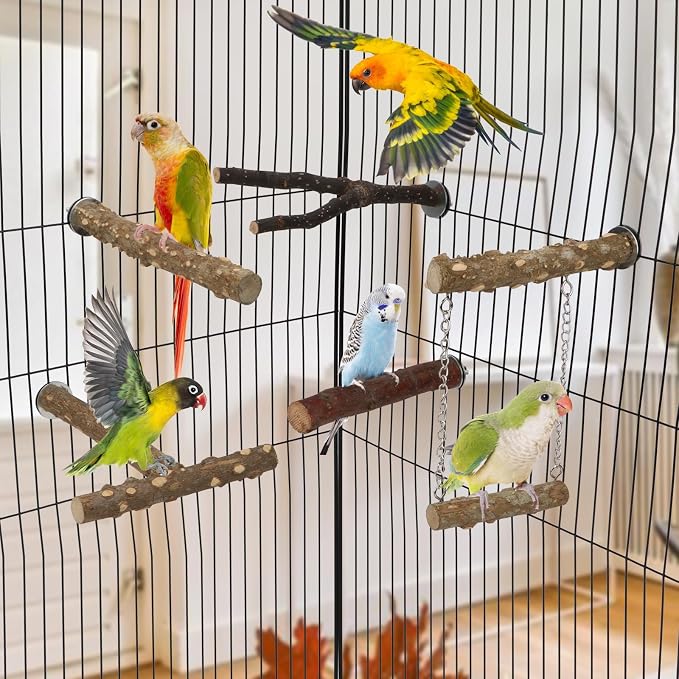 Hypeety Natural Wood Bird Perch - Image 6