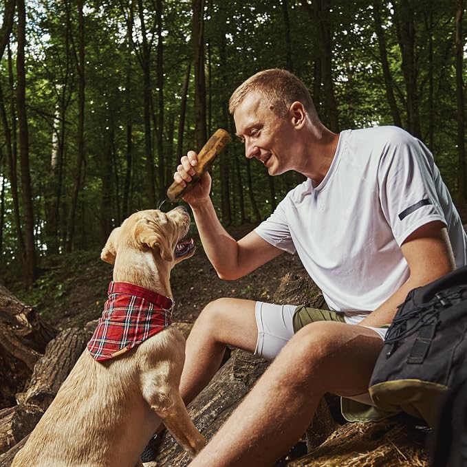 Wildfang® Olive Wood Chewing Sticks - Image 9