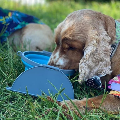Loving Pets Bella Roma Collapsible Dog Bowls - Image 8
