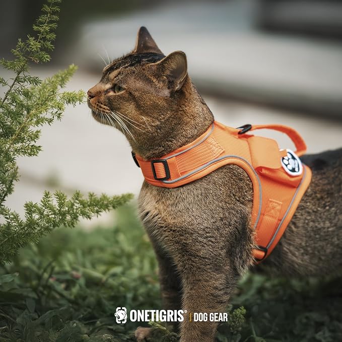OneTigris Cat Harness and Leash - Image 9
