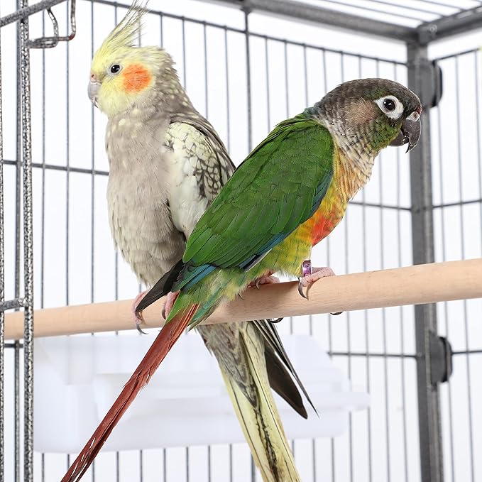 Topeakmart X-Large Parrot Cage Bird Cage - Image 5