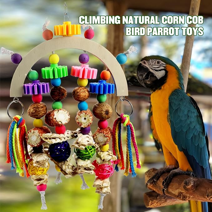 Bird Toys - Natural Corncob Wood & Mango Chew Toys - Image 4