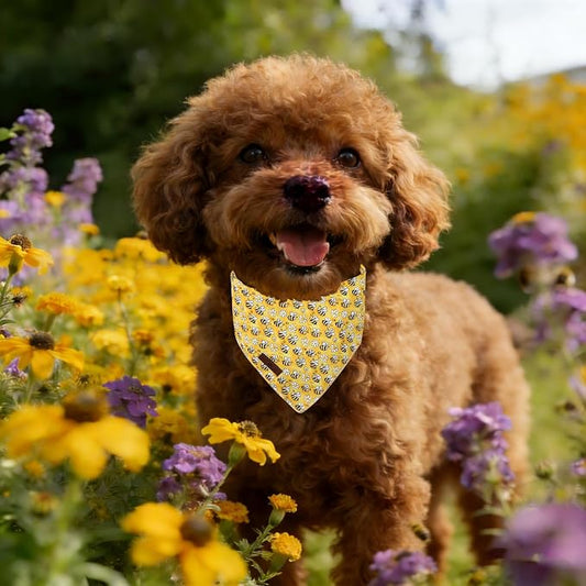 Lionet Paws Spring Summer Bee Dog Bandana Washable Cotton Handkerchief Scarf - Image 2