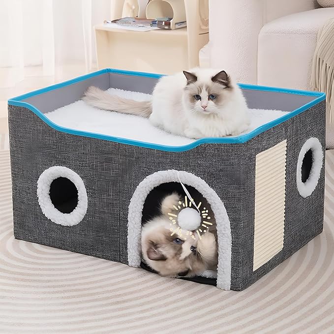 Cat Houses for Indoor Cats by Loyareal