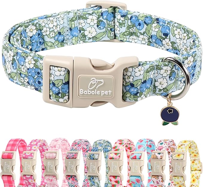 Blueberry Pattern Dog Collar, Cute Light Blue Spring Summer Puppy Collar by Babolepet