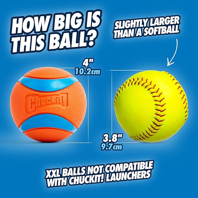 Chuckit! Ultra Ball Dog Toy - Image 2