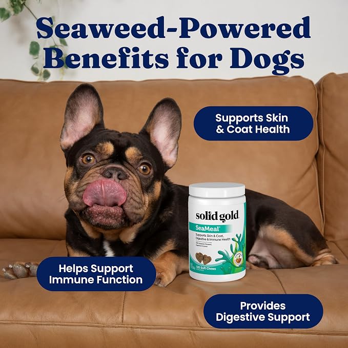 Solid Gold Cat & Dog Multivitamin Chews - Image 2