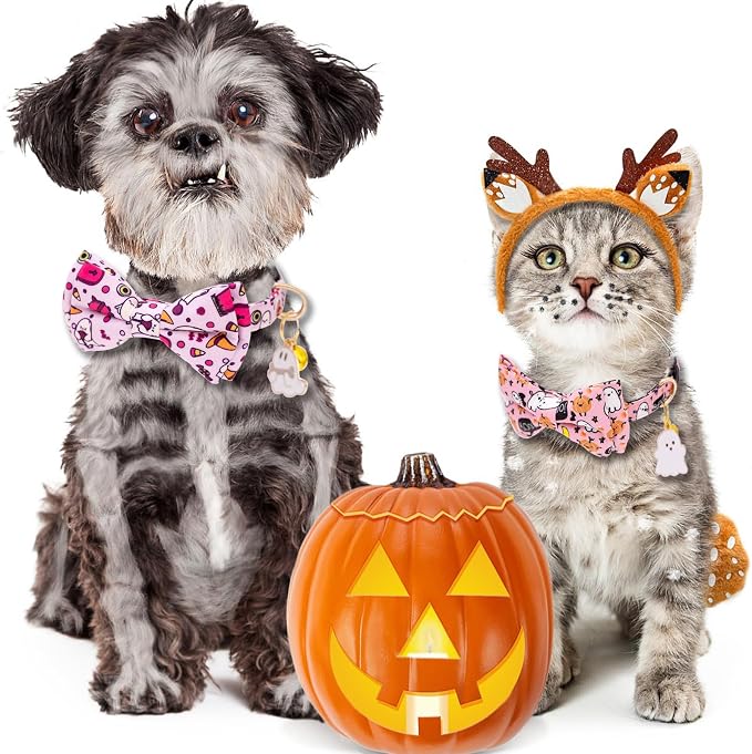 Faygarsle 2 Pack Breakaway Cat Collar Collection - Image 6