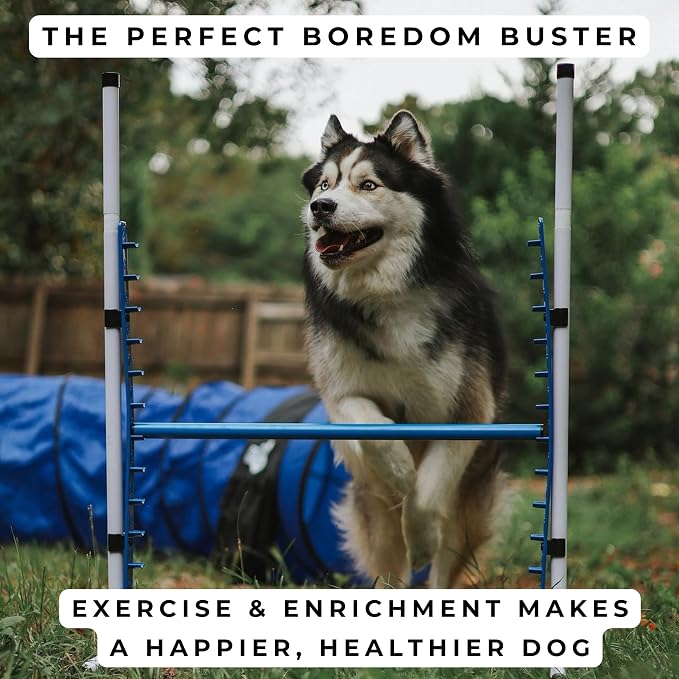 Better Sporting Dogs 4 Pack Adjustable Dog Agility Jumps w/Safety-Focused - Image 7