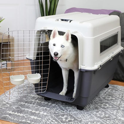 SportPet Designs Plastic Kennels Rolling Plastic Wire Door Travel Dog Crate - Image 2