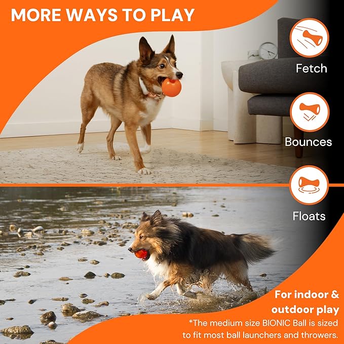 BIONIC Ball Dog Toy, Small - Image 7