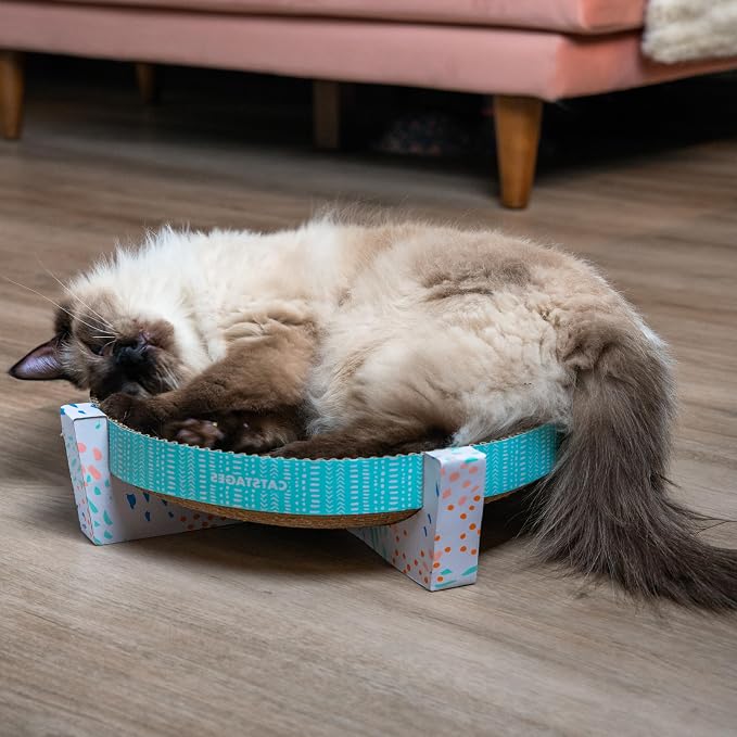 Catstages Scratch, Snuggle & Rest – 2‑in‑1 Indoor Cat Scratcher & Elevated Cat - Image 7