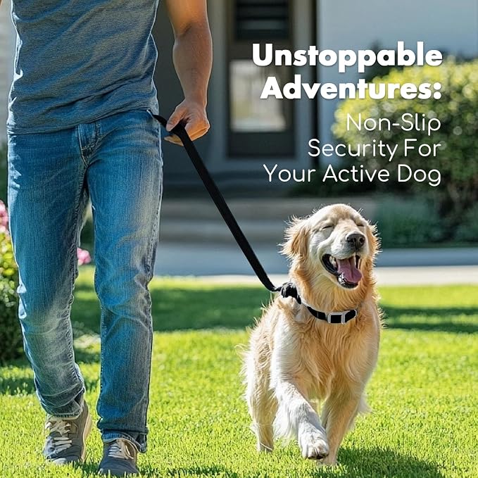 4.2FT Dog Collar and Leash Set, PVC Waterproof Adjustable Odor Proof Pet - Image 6