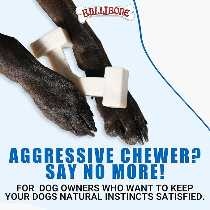 Bullibone Nylon Dog Chew Toy Spin-a-Bone - Image 4