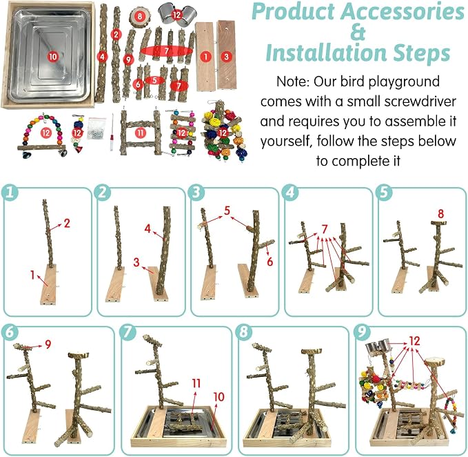 PINVNBY Bird Playground Natural Wood Parrot Perch Stand Bird Play Gym Colorful - Image 5
