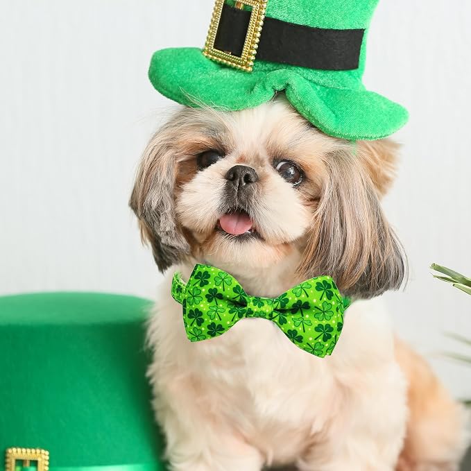 St. Patrick's Day Dog Collar - Image 5