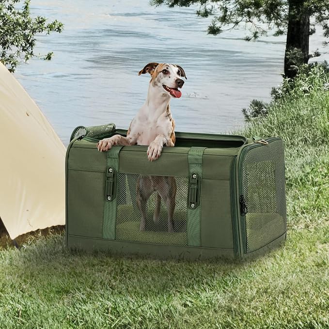 Petsfit 19x12x12 Pet Carrier for Large Cats, Soft-Sided Small Dog Travel Carrier - Image 9