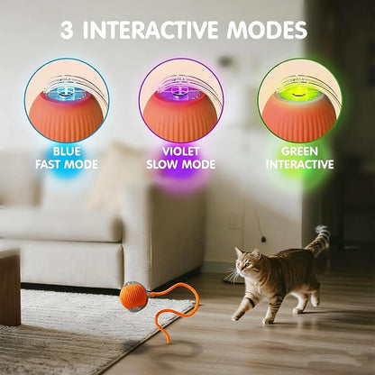 Rocfish Durable Interactive Cat Toys - Image 4