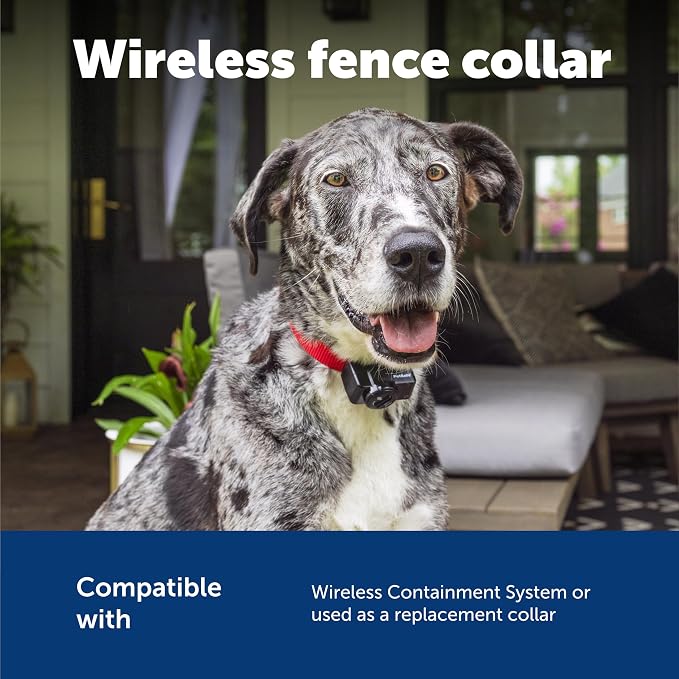 PetSafe Wireless Pet Containment System Receiver Collar - Image 6