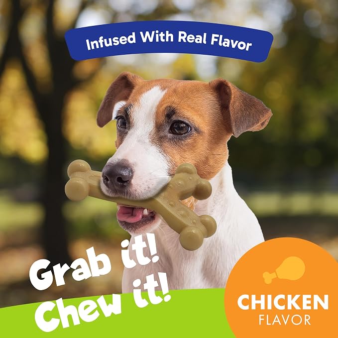 Chew'ems Durable Chew Toys for Small Dogs | Long-Lasting & Flavorful Chew Dog - Image 2