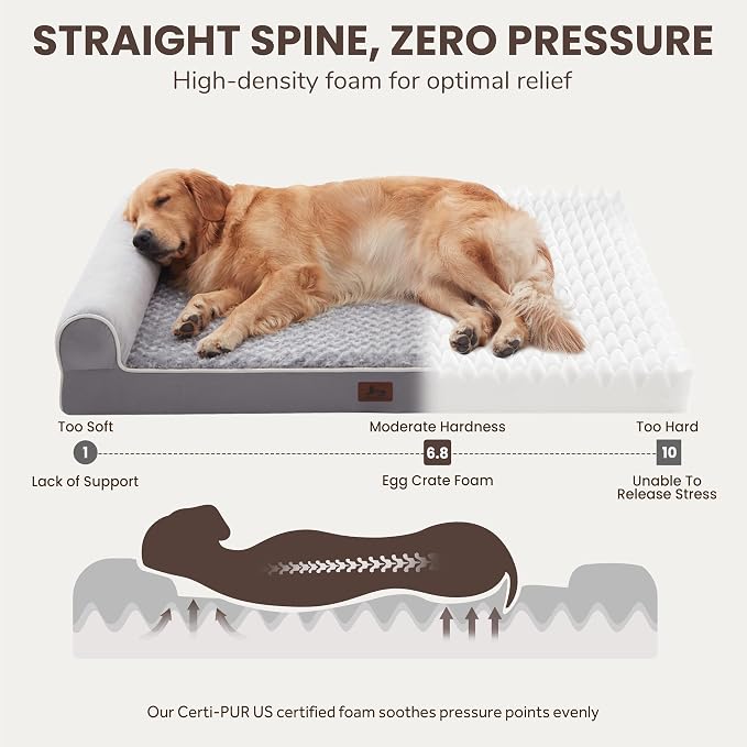 Large Dog Beds Large Sized Dogs 48x35x8 Inch, Orthopedic XXL XL Dog Bed - Image 2