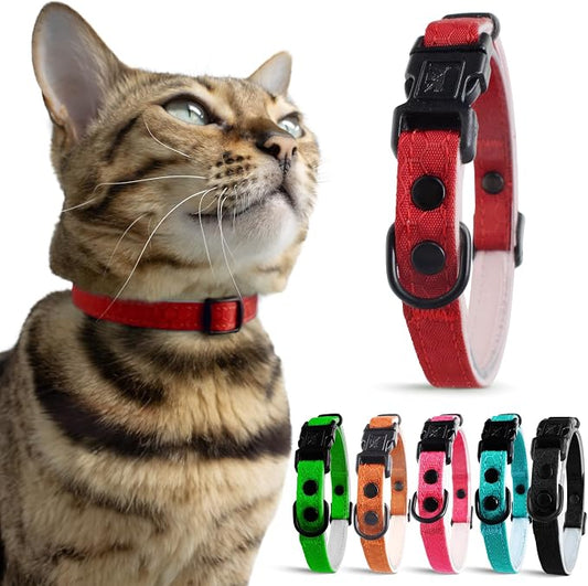 OutdoorBengal Red Breakaway Kitten Collar by OutdoorBengal