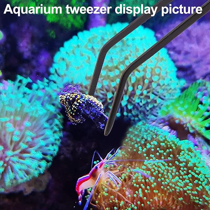 31.5Inch Long Corals Grabber, reefs Feeders, Aquarium Veggie Feedting Tool - Image 4