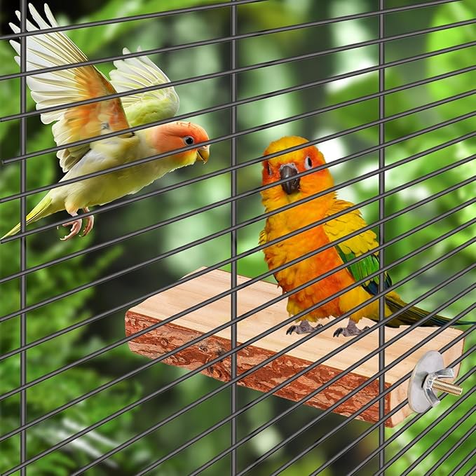 Bird Toys Parakeet Perch Budgie Perch Wood Stand Fork Toys Multi-Branch Perch - Image 4