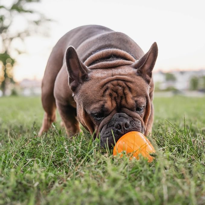 Chew King by Mammoth Premium Treat Dog Toy, Extremely Durable Natural Rubber Toy - Image 2