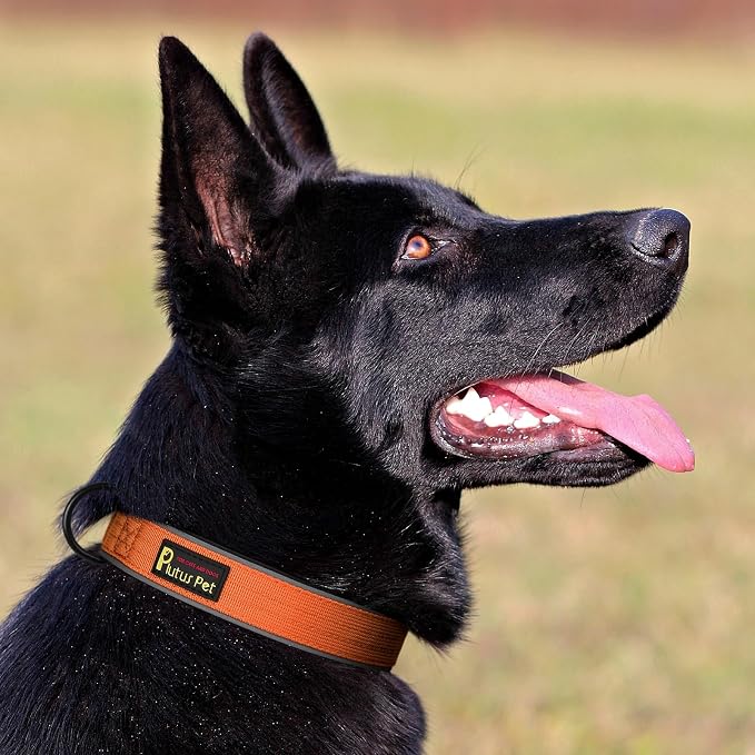 Plutus Pet Tactical Dog Collar, Reflective, Adjustable Heavy Duty Dog Collar - Image 6