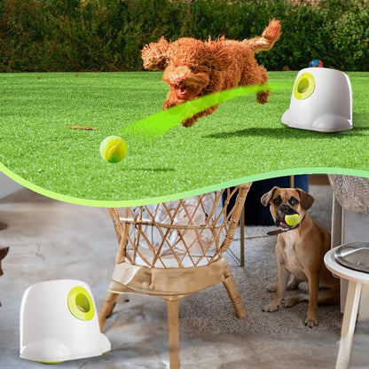 ALL FOR PAWS Automatic Ball Launcher for Dogs Interactive Puppy Pet Ball Indoor - Image 2