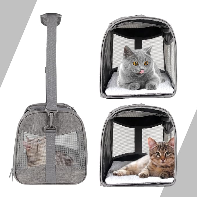 Cat Carrying Case - Image 4