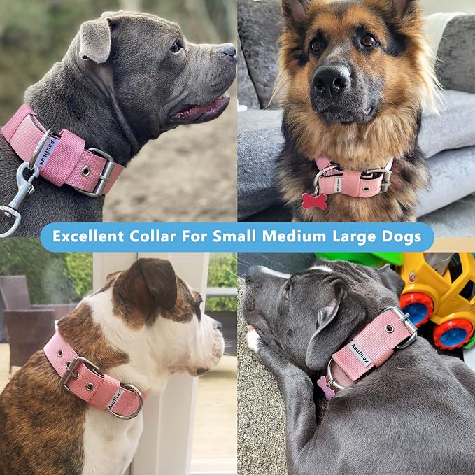 Heavy Duty Tactical Dog Collar - Image 2