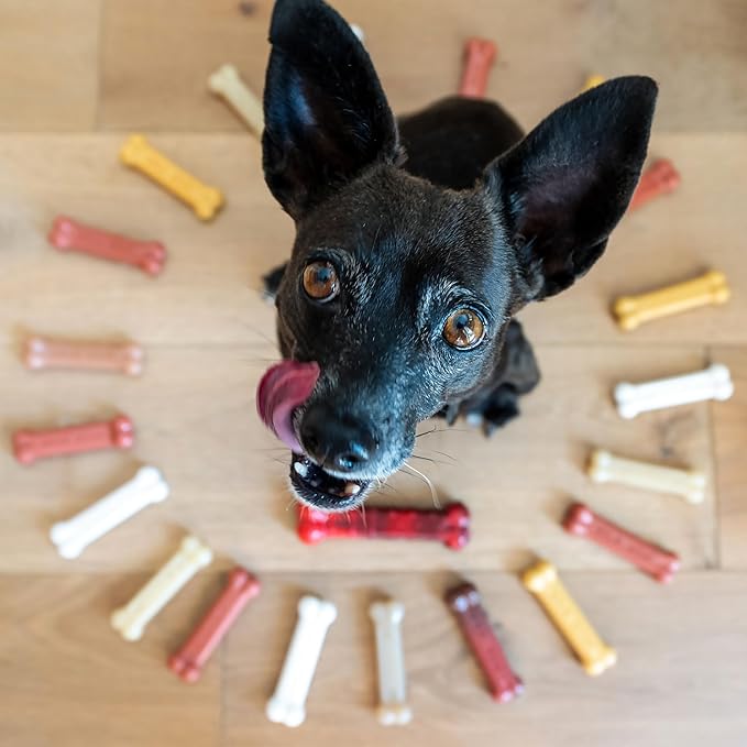 Nylabone Customer Favorites Power Chew Toy Bundle - Image 4