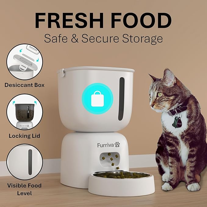 Automatic Cat Feeder and Water Fountain Set - 3L Food Dispenser - Image 4