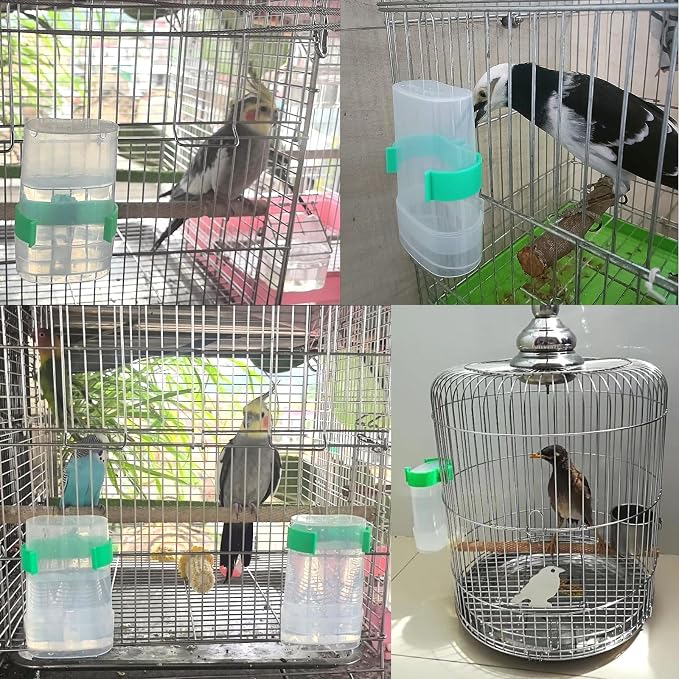 Automatic Bird Water Dispenser Parrot Water Feeder Bird Seed Food Container - Image 4