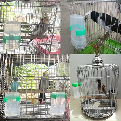 Automatic Bird Water Dispenser Parrot Water Feeder Bird Seed Food Container - Image 4