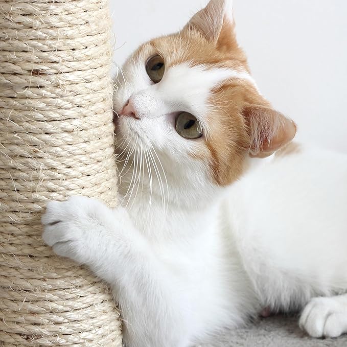 4-Tier Round Cat Tower - Image 5