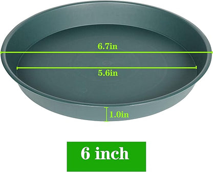 6 Pack Plant Saucer Tray Green, 4 6 8 10 12 13 15 17 19 inch Pot Saucers - Image 2