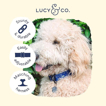 Lucy & Co. Space Doodle Dog Collar - Image 3