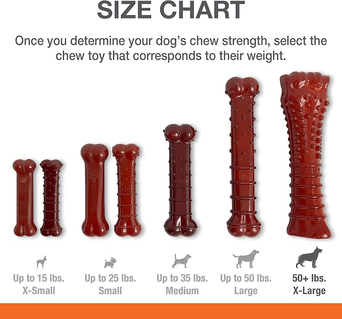 Nylabone Textured Bone Power Chew Toy - Image 18
